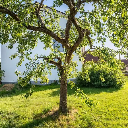 Bauernhofleben Ried (Gunzburg)
