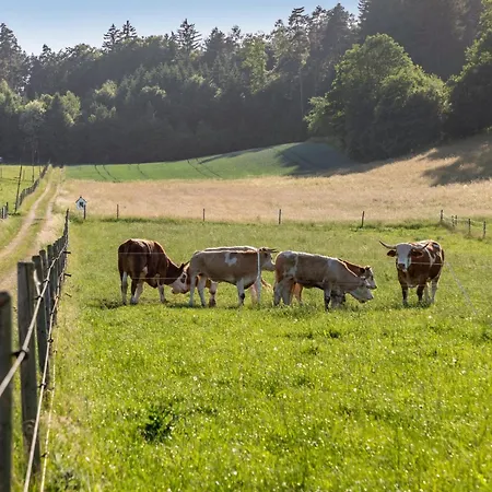 Bauernhofleben *
