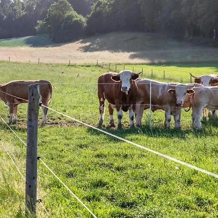 Bauernhofleben Farma Ried (Gunzburg)
