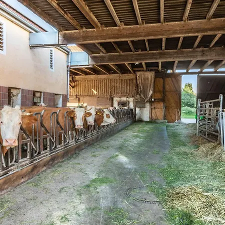 Farma Bauernhofleben Ried (Gunzburg)
